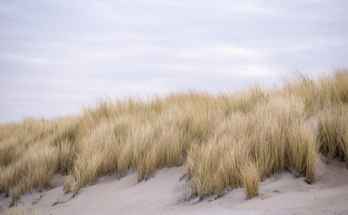 dingen om te doen in Ijmuiden